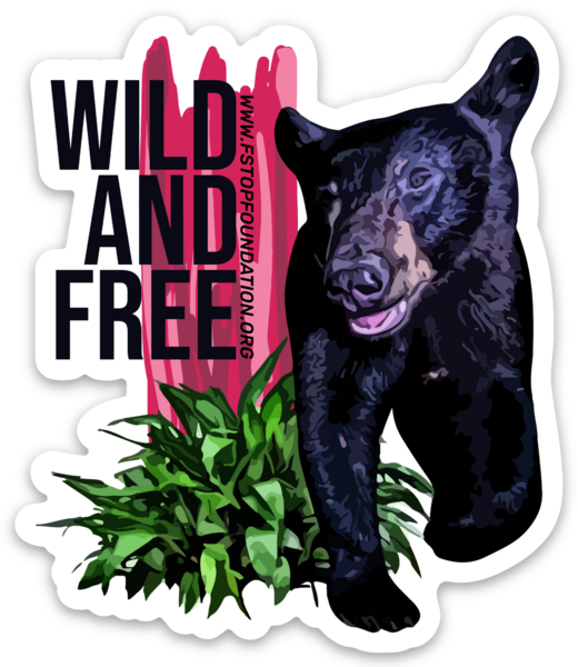 Wild and Free Bear Sticker