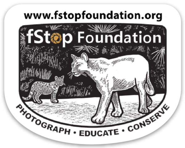 fStop Foundation Mother & Kitten Panther Sticker
