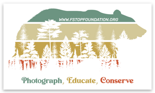 Bear - Photograph, Educate, Conserve Sticker