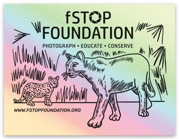 fStop Foundation Panther & Kitten Holographic Sticker